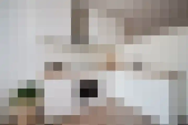 Weeshuislaan 36 Zeist thumbnail 11