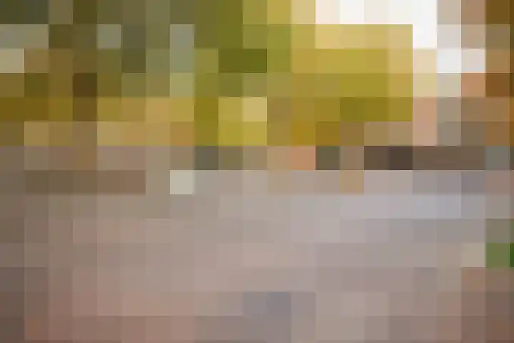 Weeshuislaan 36 Zeist thumbnail 26