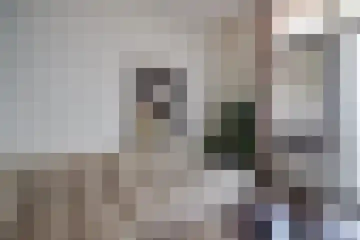 Weeshuislaan 36 Zeist thumbnail 7