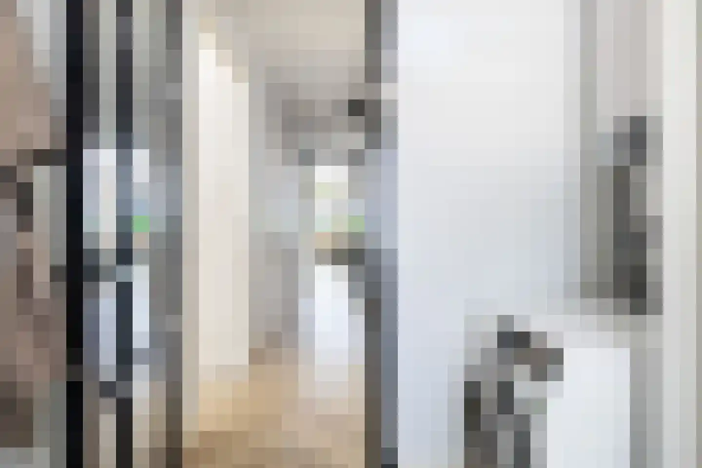 Weeshuislaan 38 Zeist thumbnail 4