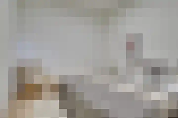 Weeshuislaan 46 Zeist thumbnail 31