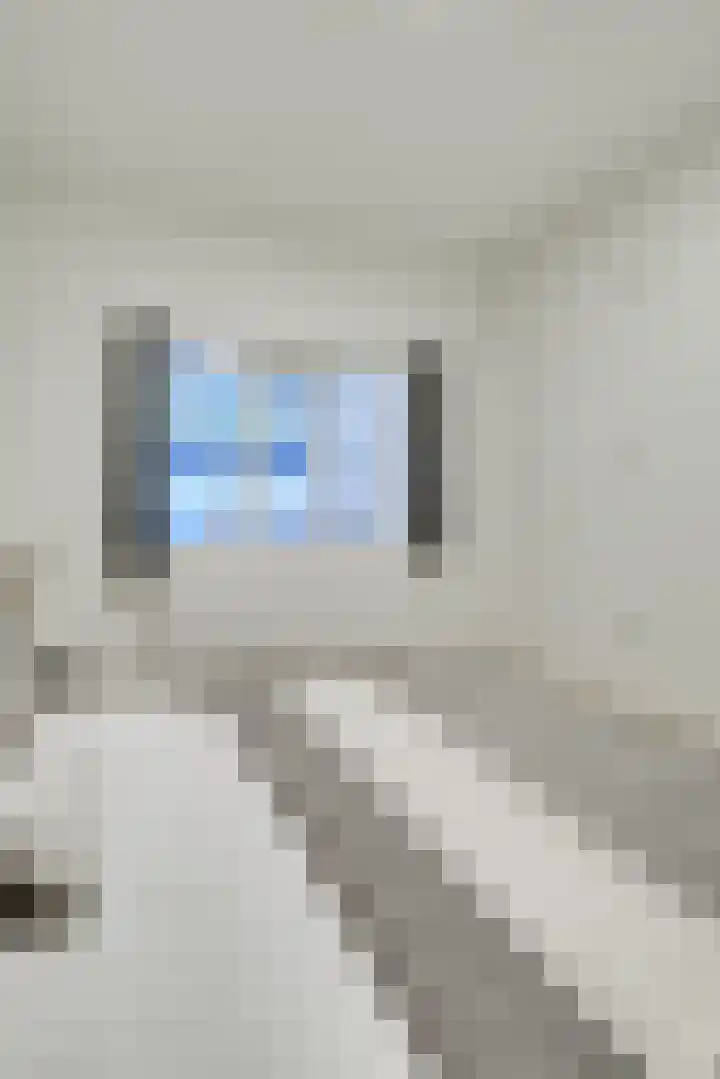 Weeshuislaan 46 Zeist thumbnail 32