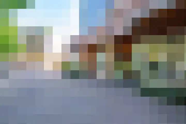 Weeshuislaan 46 Zeist thumbnail 37