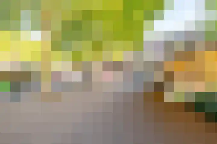Weeshuislaan 46 Zeist thumbnail 38