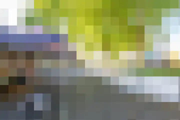 Weeshuislaan 46 Zeist thumbnail 39