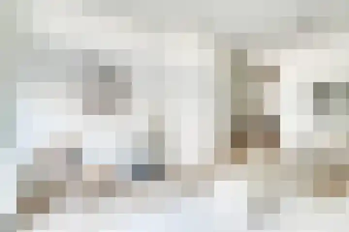 Weeshuislaan 46 Zeist thumbnail 7