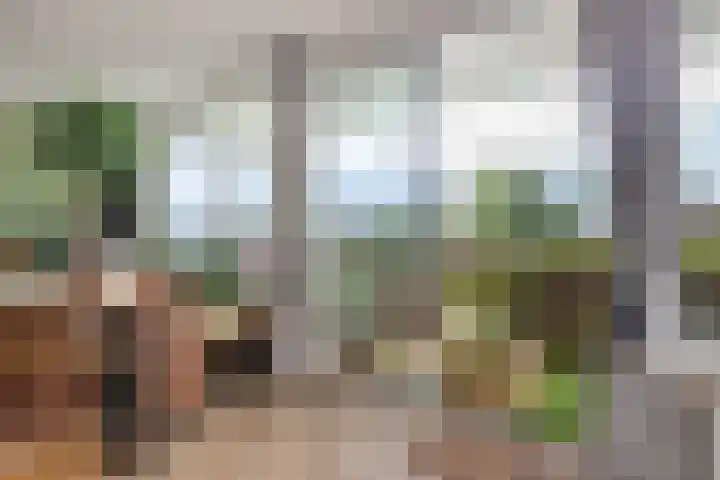 Weeshuislaan 47 Zeist thumbnail 11