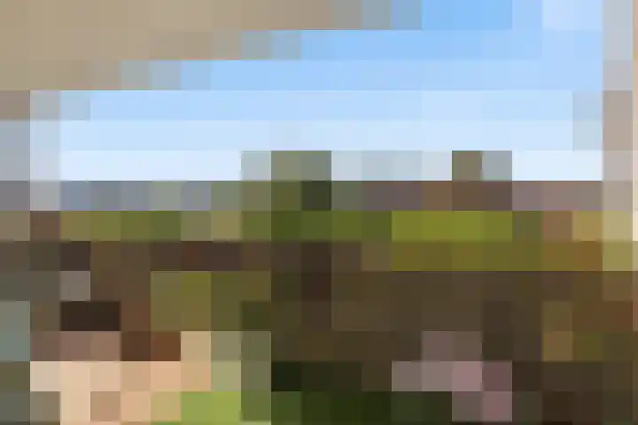 Weeshuislaan 47 Zeist thumbnail 13