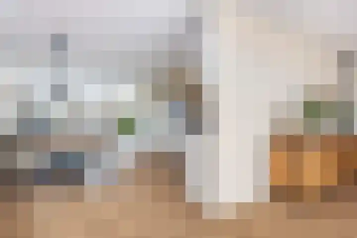 Weeshuislaan 47 Zeist thumbnail 17
