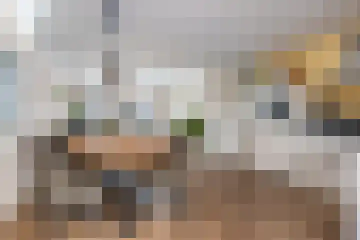 Weeshuislaan 47 Zeist thumbnail 18