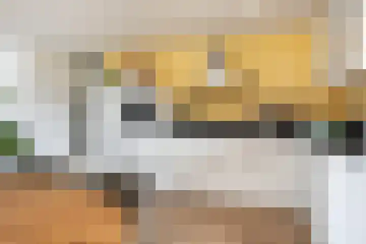 Weeshuislaan 47 Zeist thumbnail 20