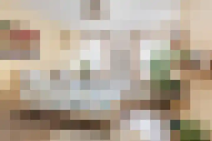 Weeshuislaan 47 Zeist thumbnail 24