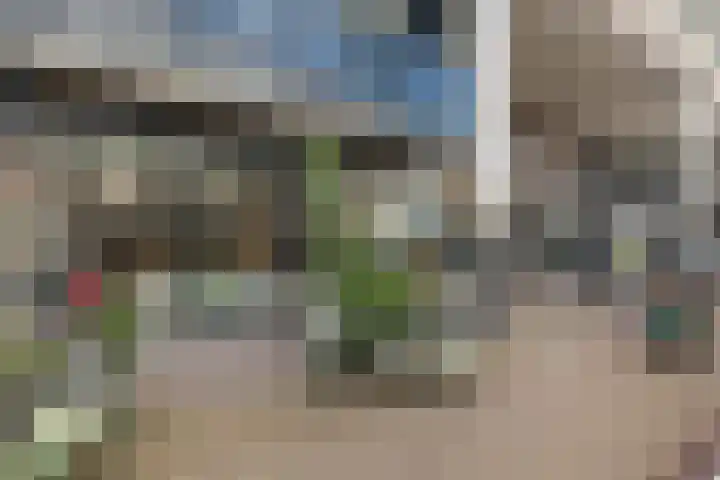 Weeshuislaan 47 Zeist thumbnail 29