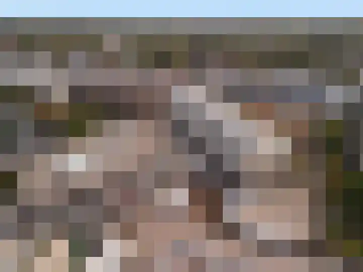 Weeshuislaan 47 Zeist thumbnail 31