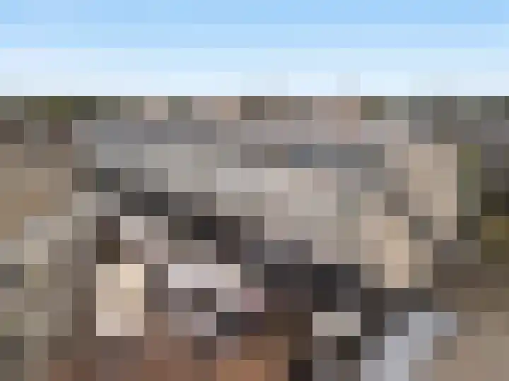 Weeshuislaan 47 Zeist thumbnail 6