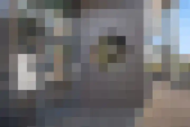 Weeshuislaan 47 Zeist thumbnail 7