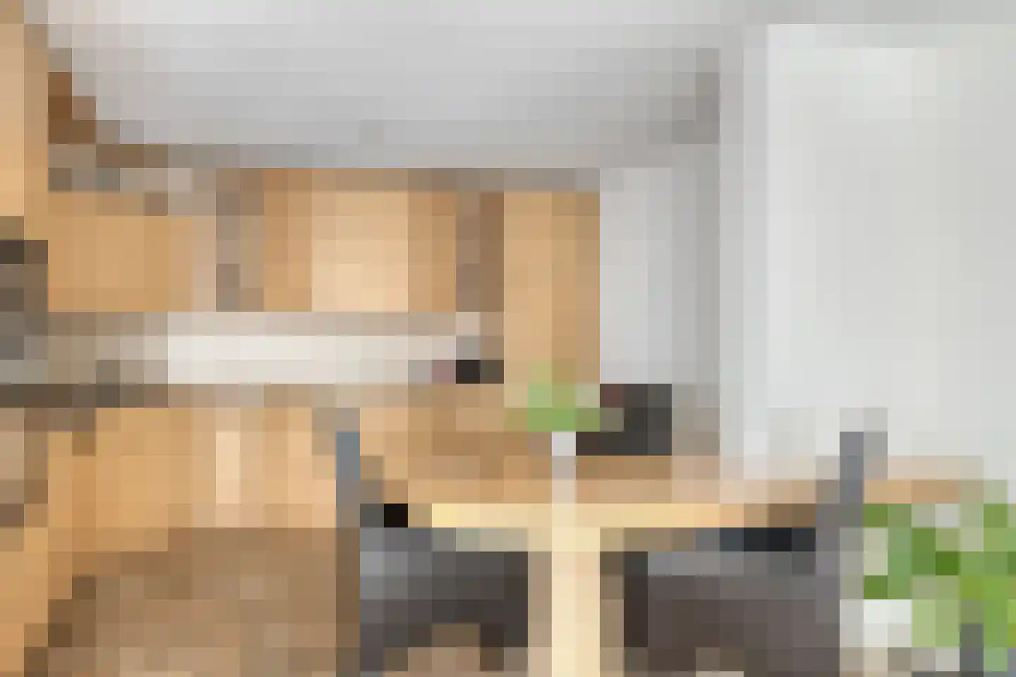 Weeshuislaan 99 Zeist thumbnail 18