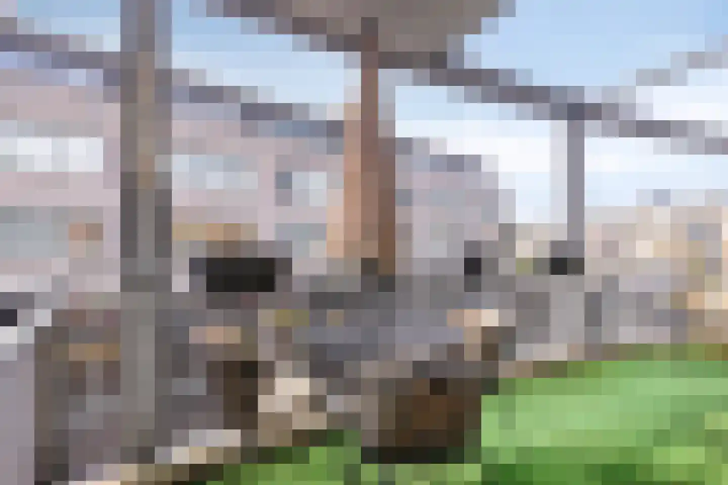 Weeshuislaan 99 Zeist thumbnail 31