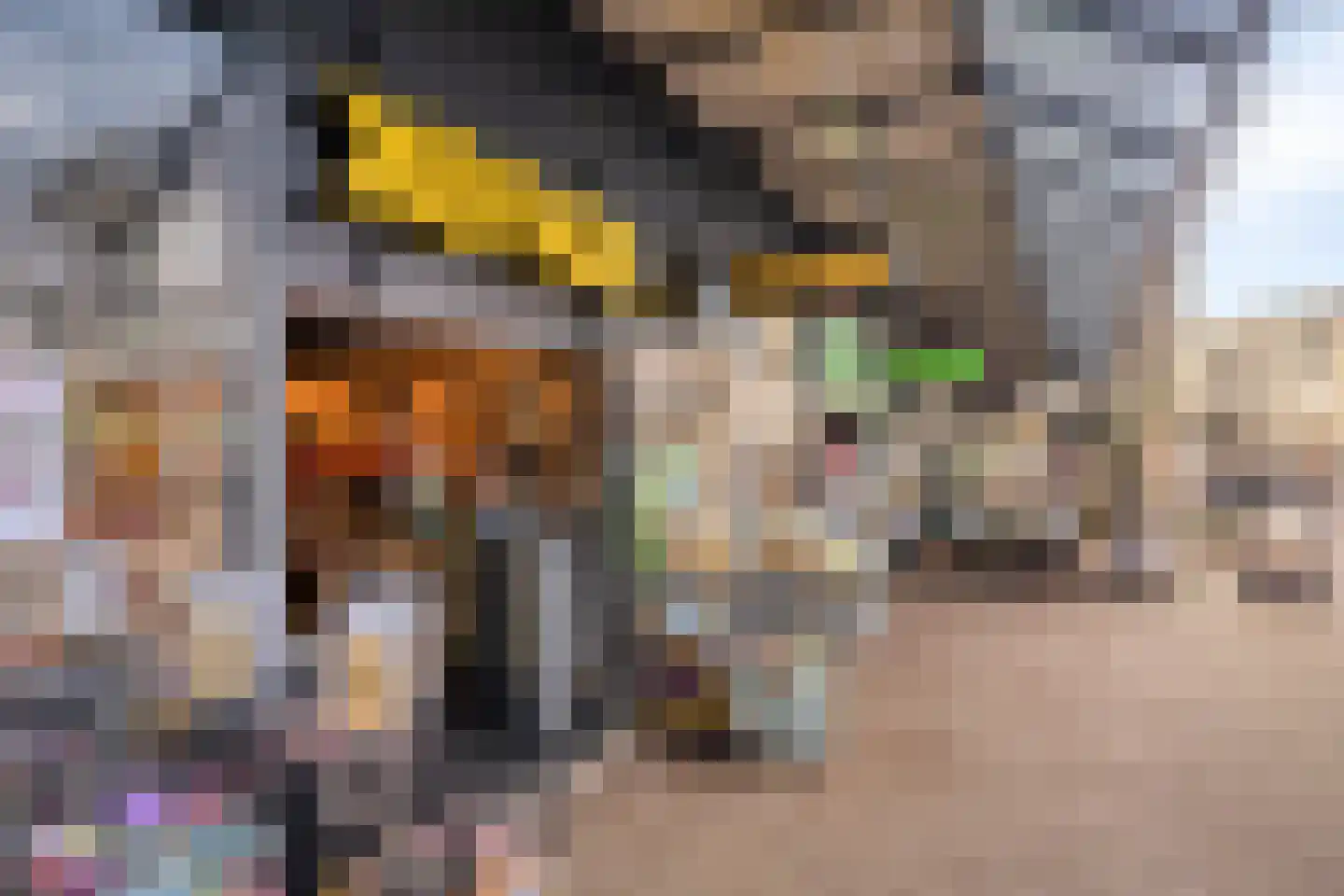 Weeshuislaan 99 Zeist thumbnail 36