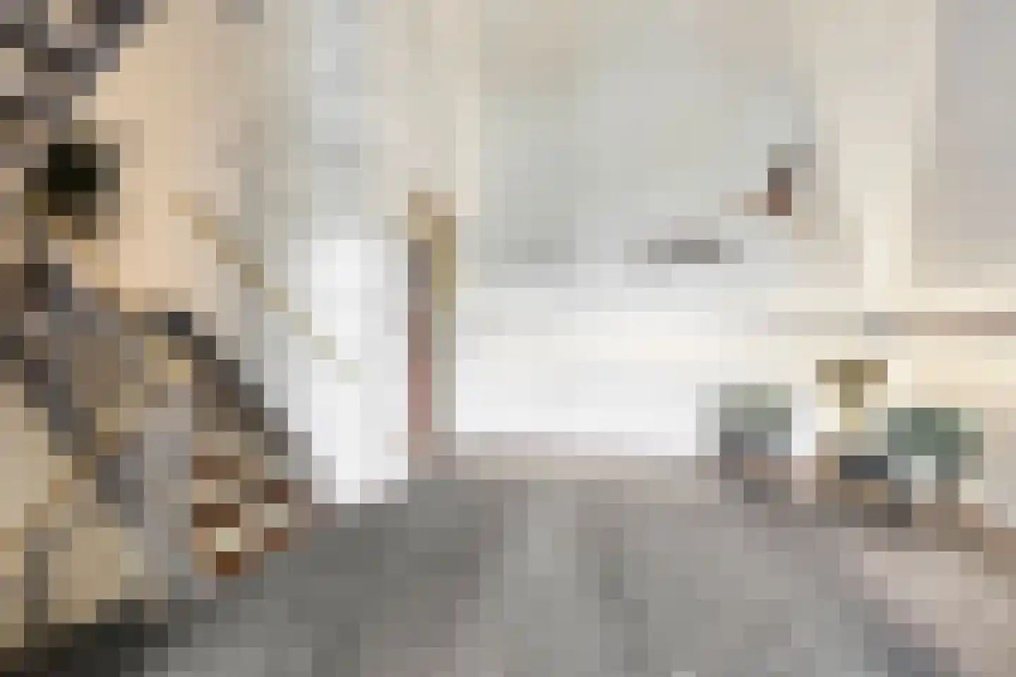 Weeshuislaan 99 Zeist thumbnail 7