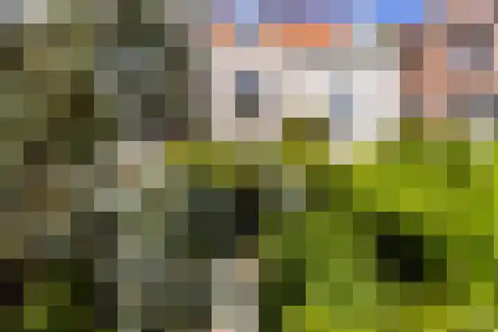 Weeshuisstraat 15 Dordrecht thumbnail 16