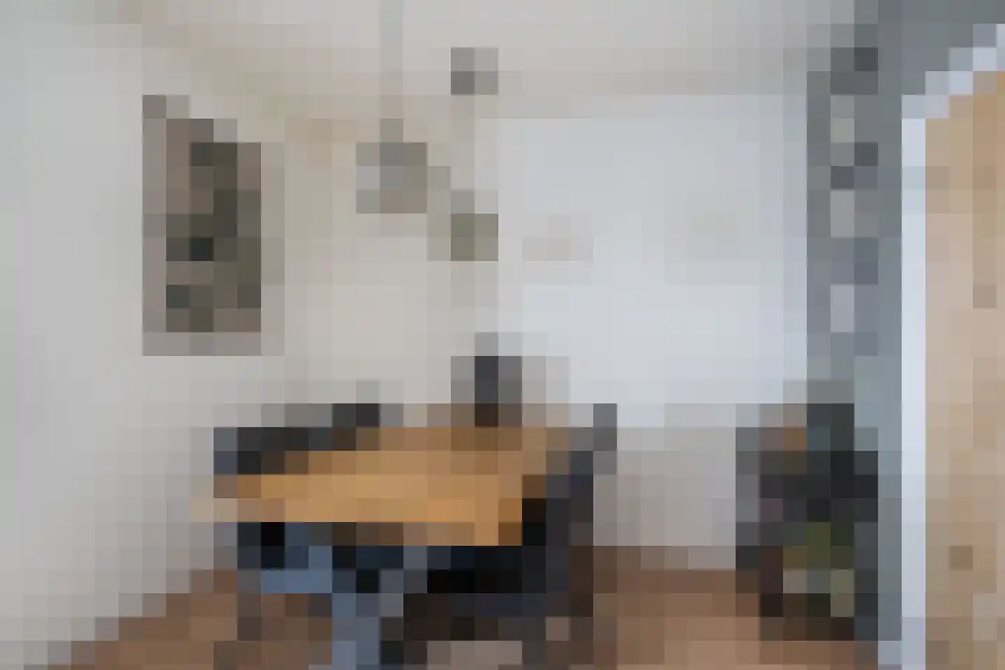 Weeshuisstraat 15 Sommelsdijk thumbnail 10