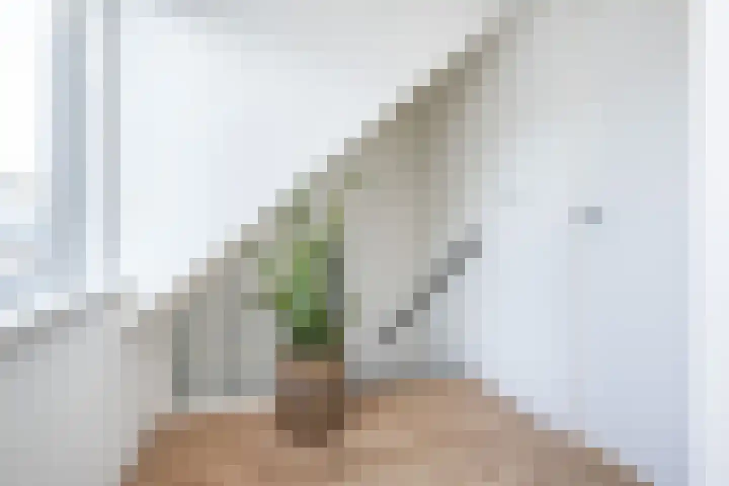 Weeshuisstraat 15 Sommelsdijk thumbnail 17