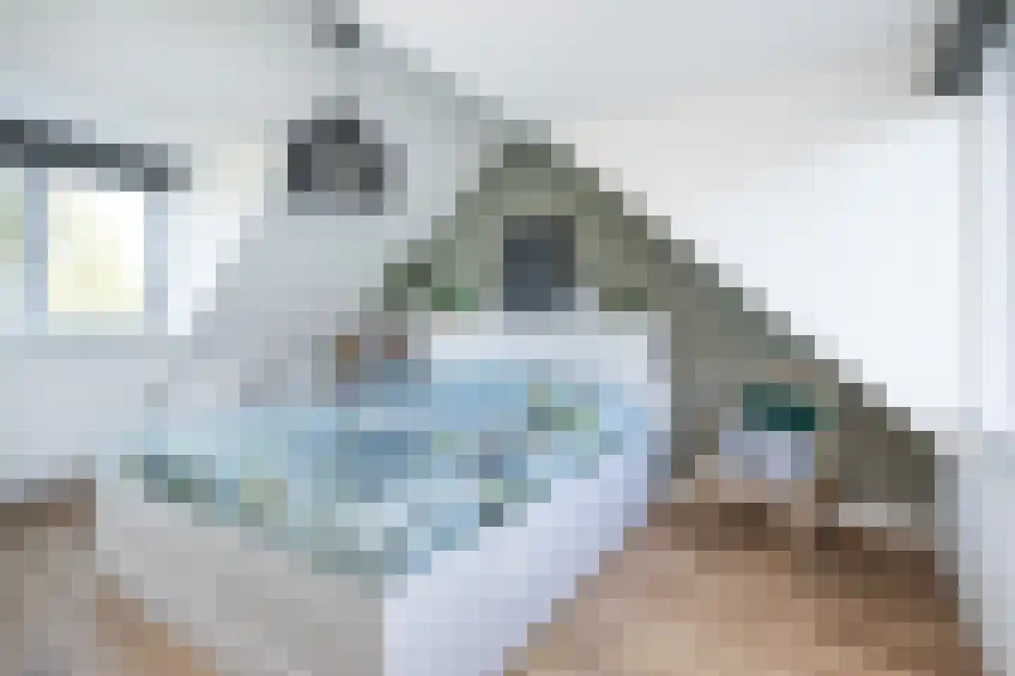 Weeshuisstraat 15 Sommelsdijk thumbnail 18