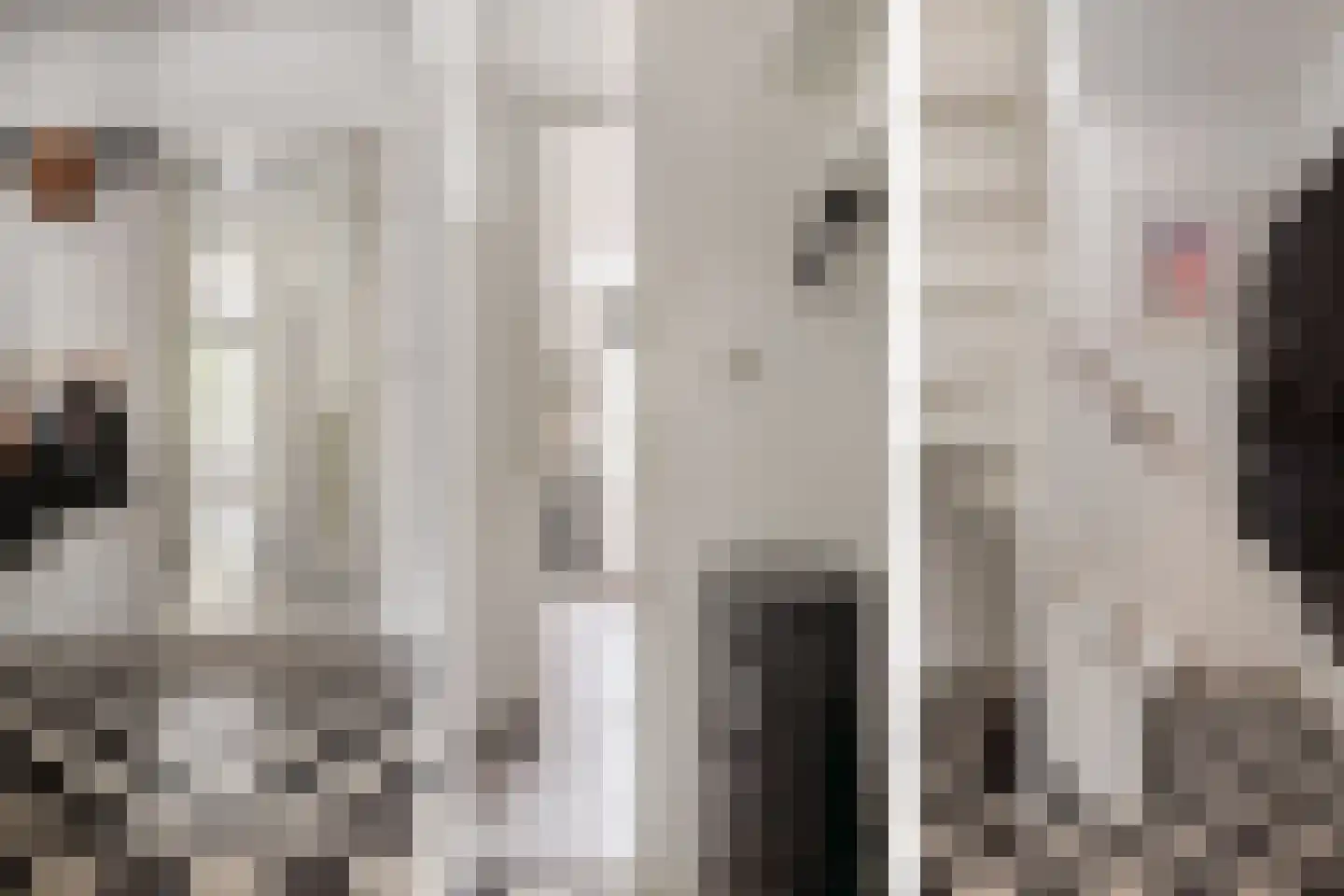 Weeshuistuin 7 Hoorn thumbnail 20
