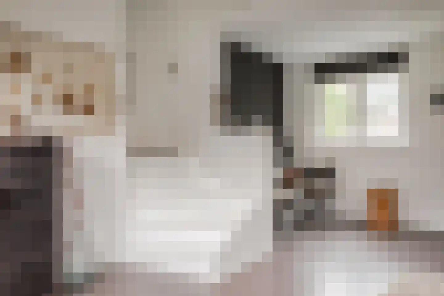 Weeshuistuin 7 Hoorn thumbnail 29