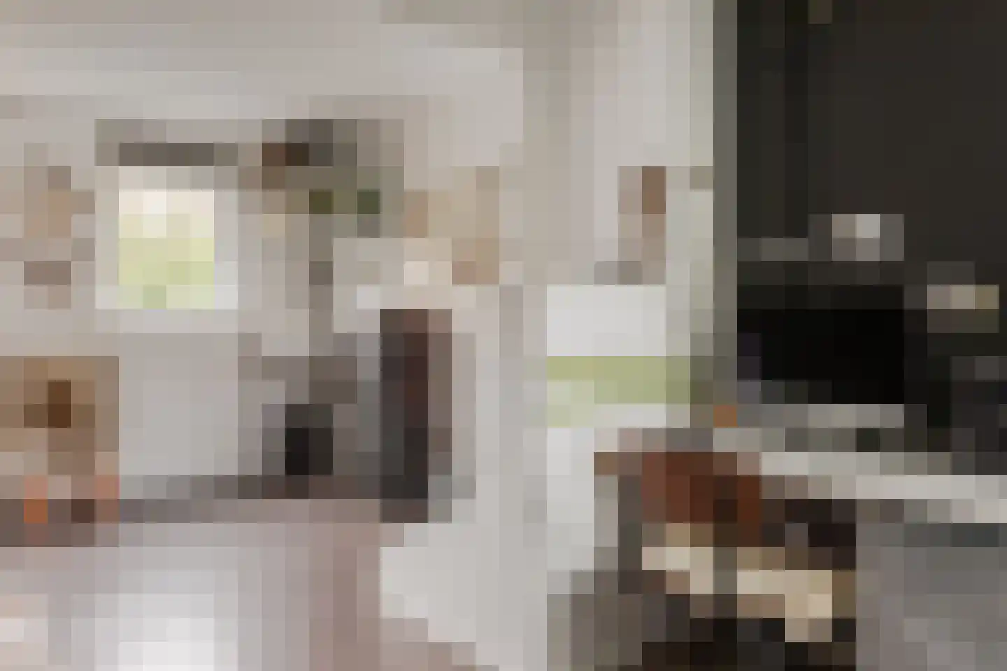 Weeshuistuin 7 Hoorn thumbnail 31