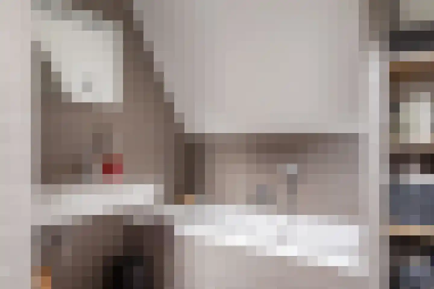 Weeshuistuin 7 Hoorn thumbnail 35