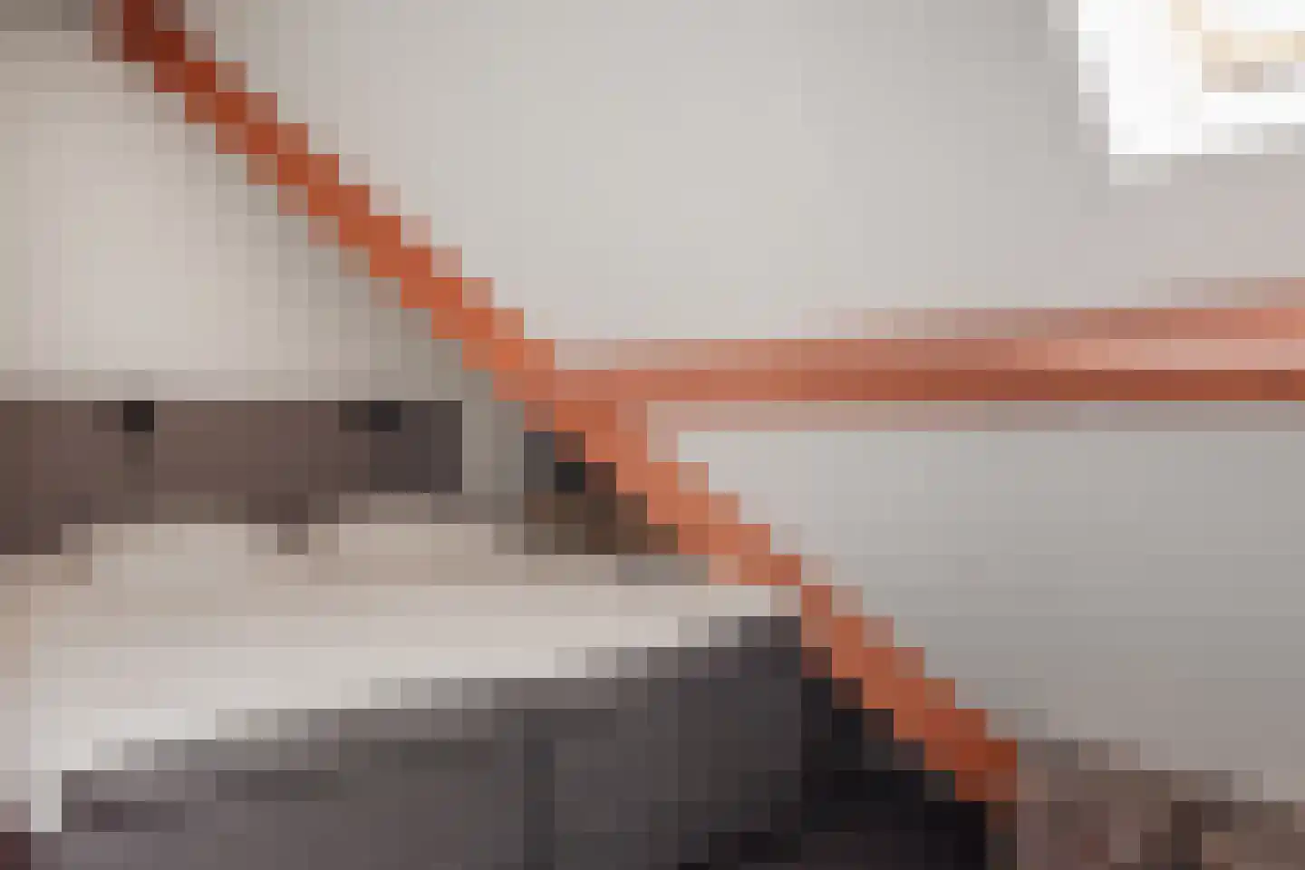 Weeshuistuin 7 Hoorn thumbnail 39