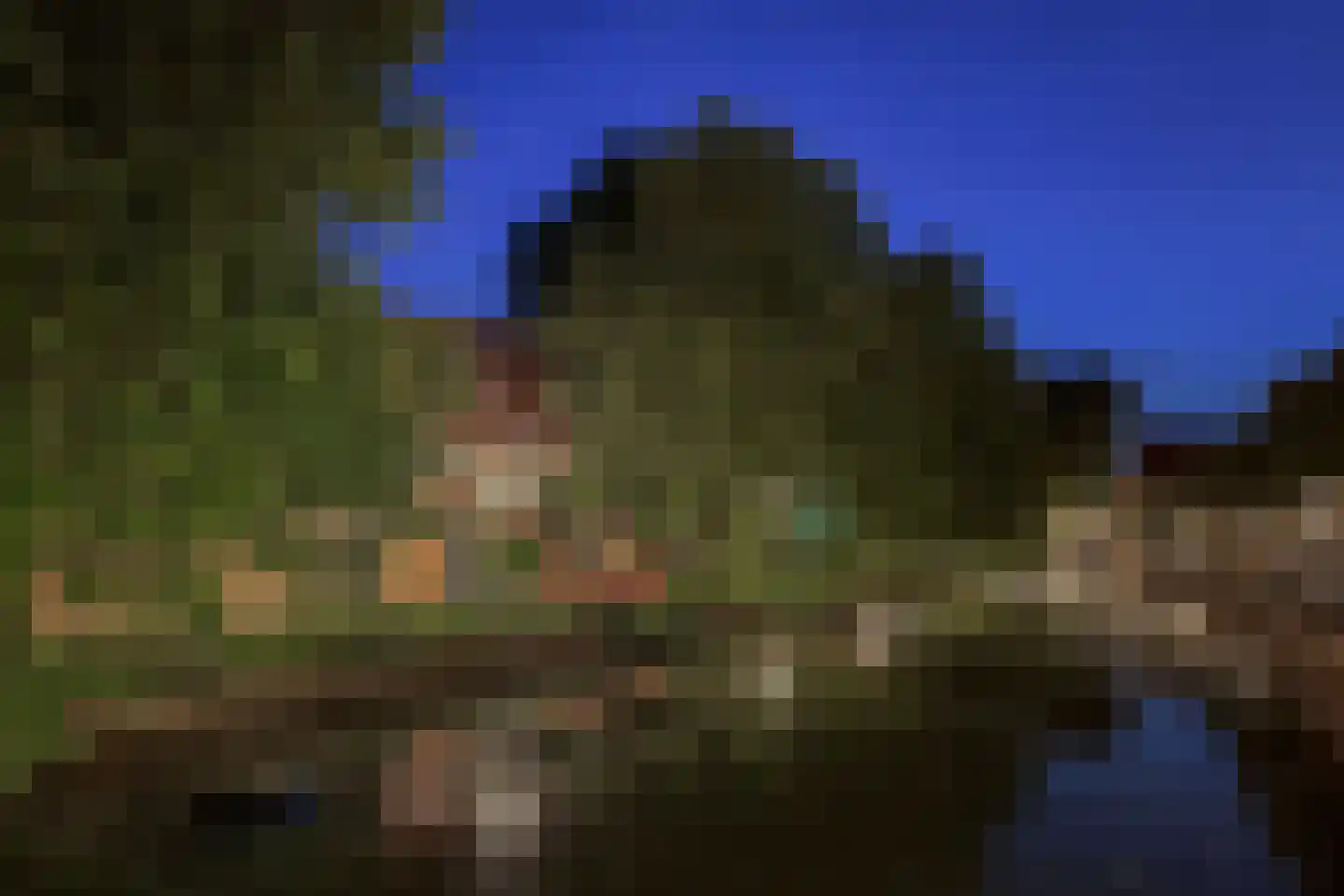 Weeshuistuin 7 Hoorn thumbnail 4