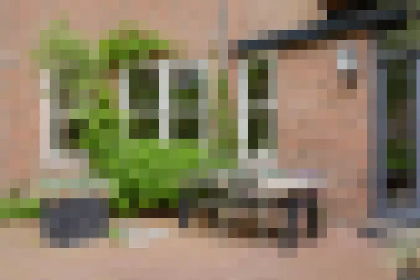 Weeshuistuin 7 Hoorn thumbnail 45