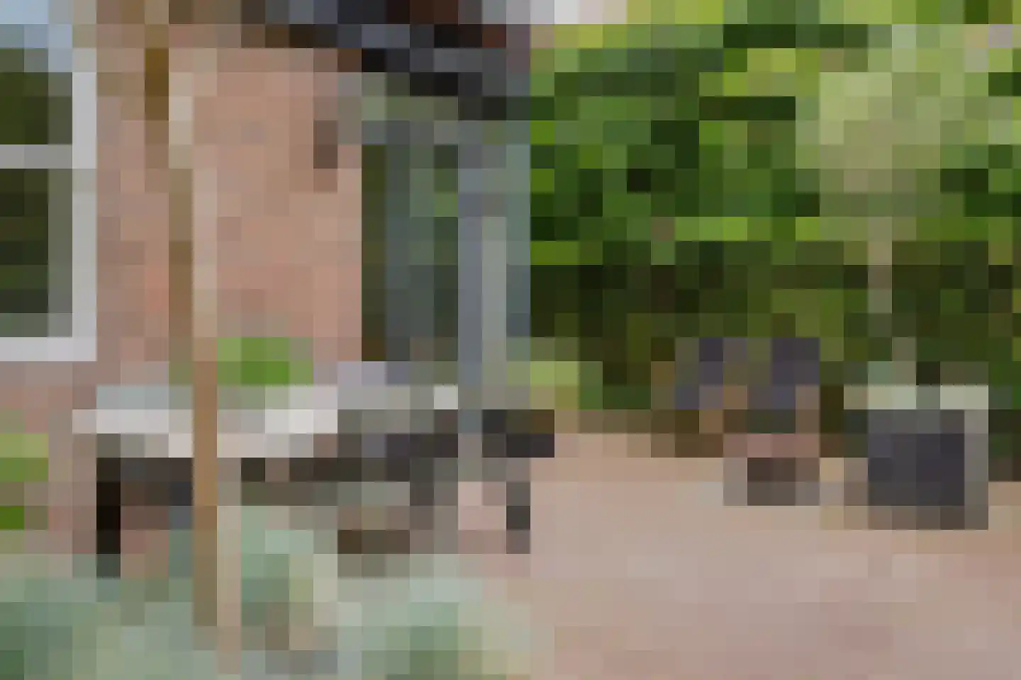 Weeshuistuin 7 Hoorn thumbnail 46