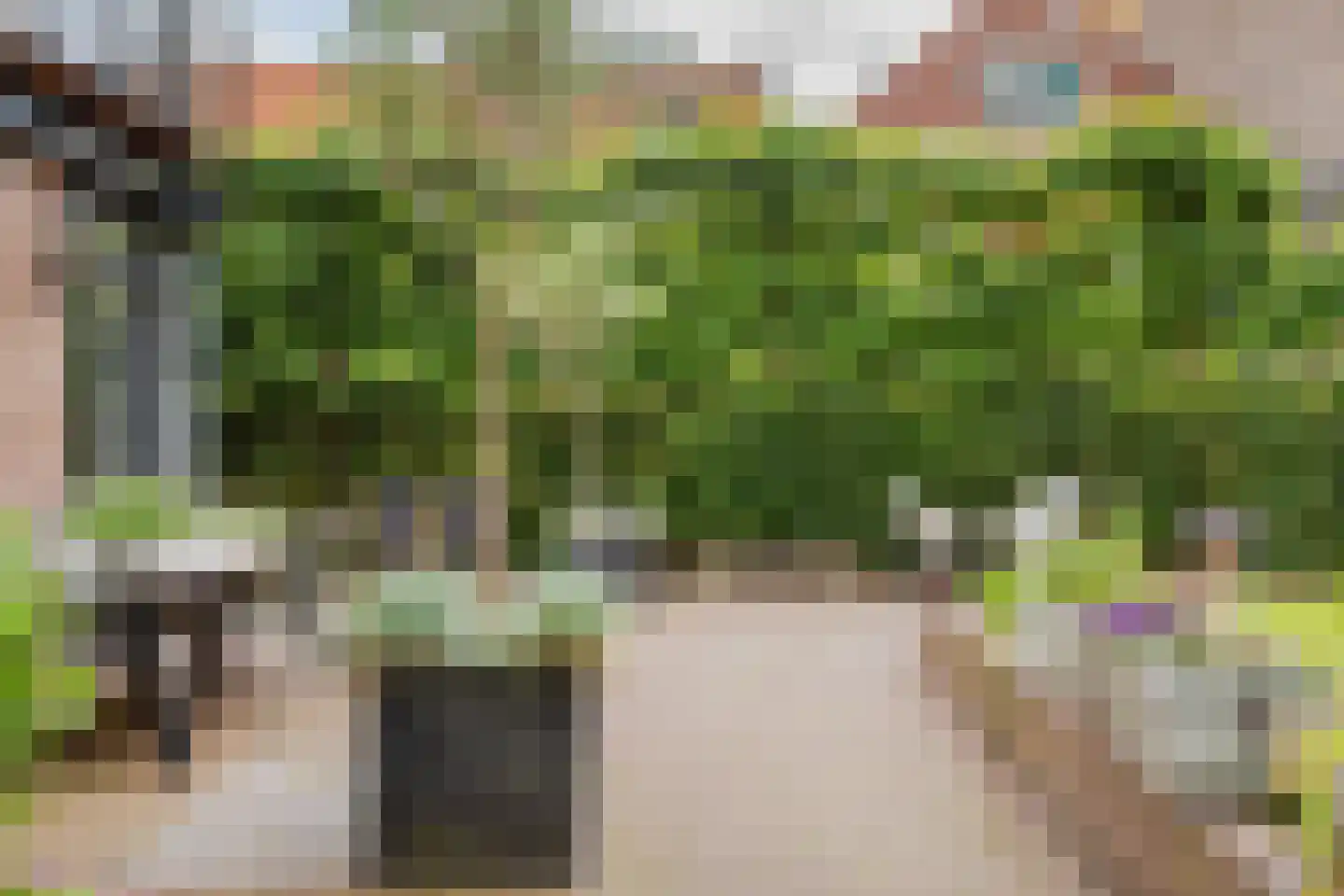 Weeshuistuin 7 Hoorn thumbnail 47