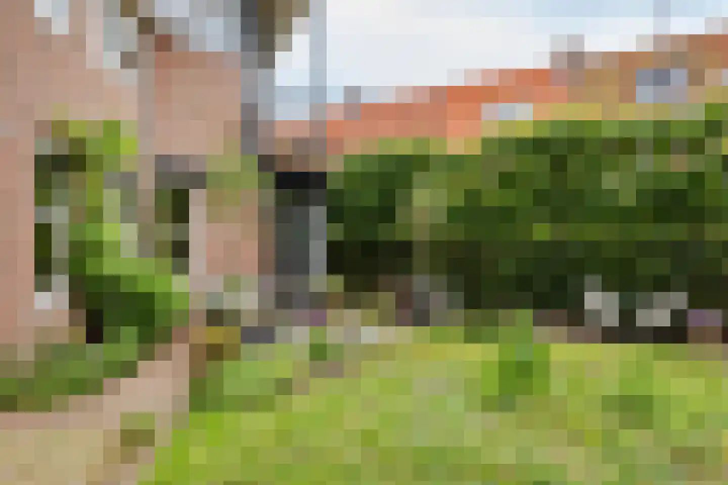 Weeshuistuin 7 Hoorn thumbnail 49