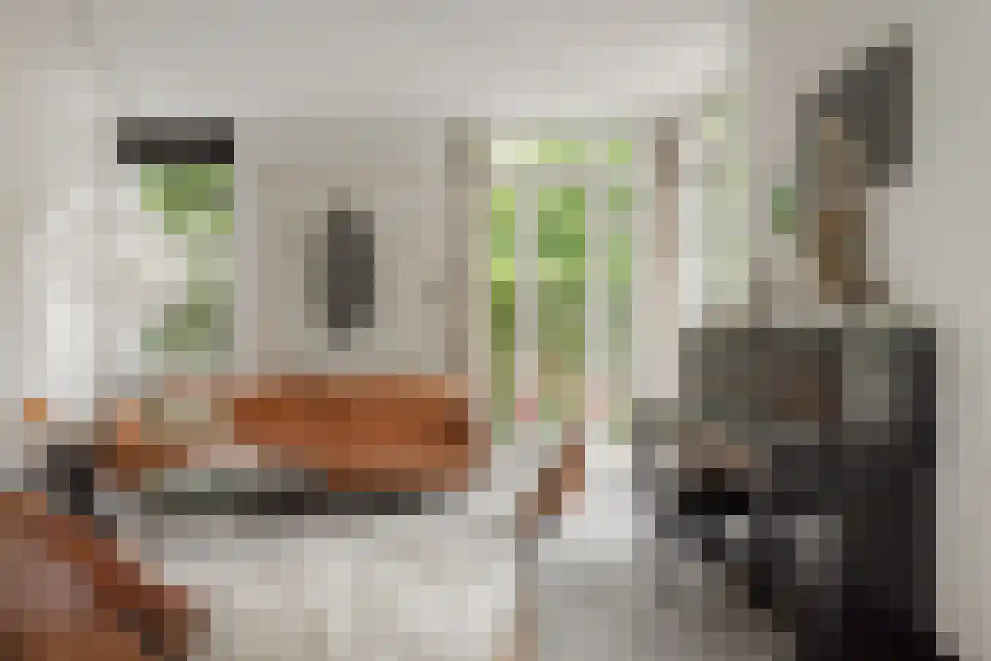 Weeshuistuin 7 Hoorn thumbnail 5