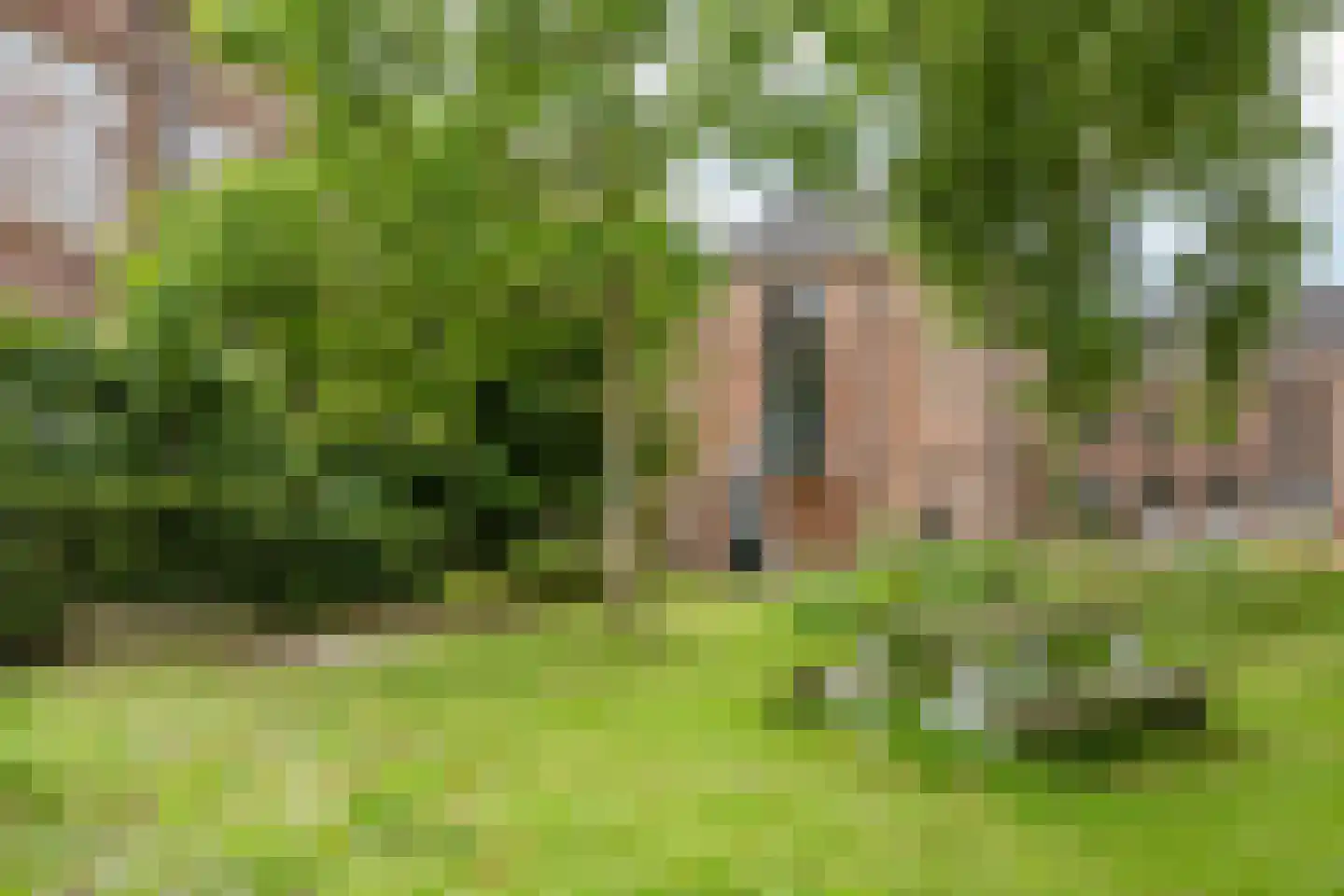 Weeshuistuin 7 Hoorn thumbnail 51