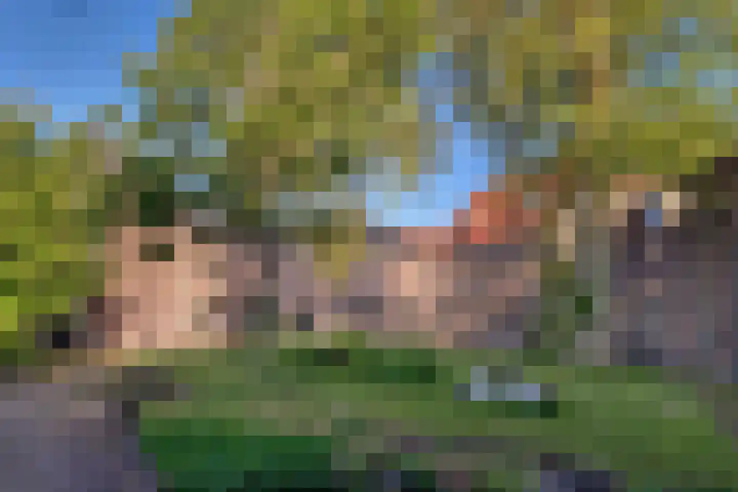 Weeshuistuin 7 Hoorn thumbnail 53