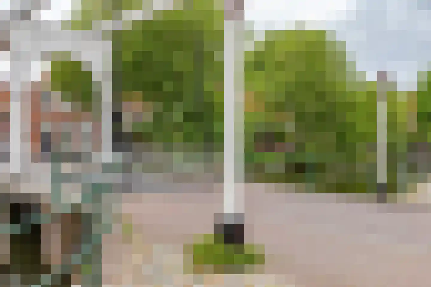 Weeshuistuin 7 Hoorn thumbnail 57