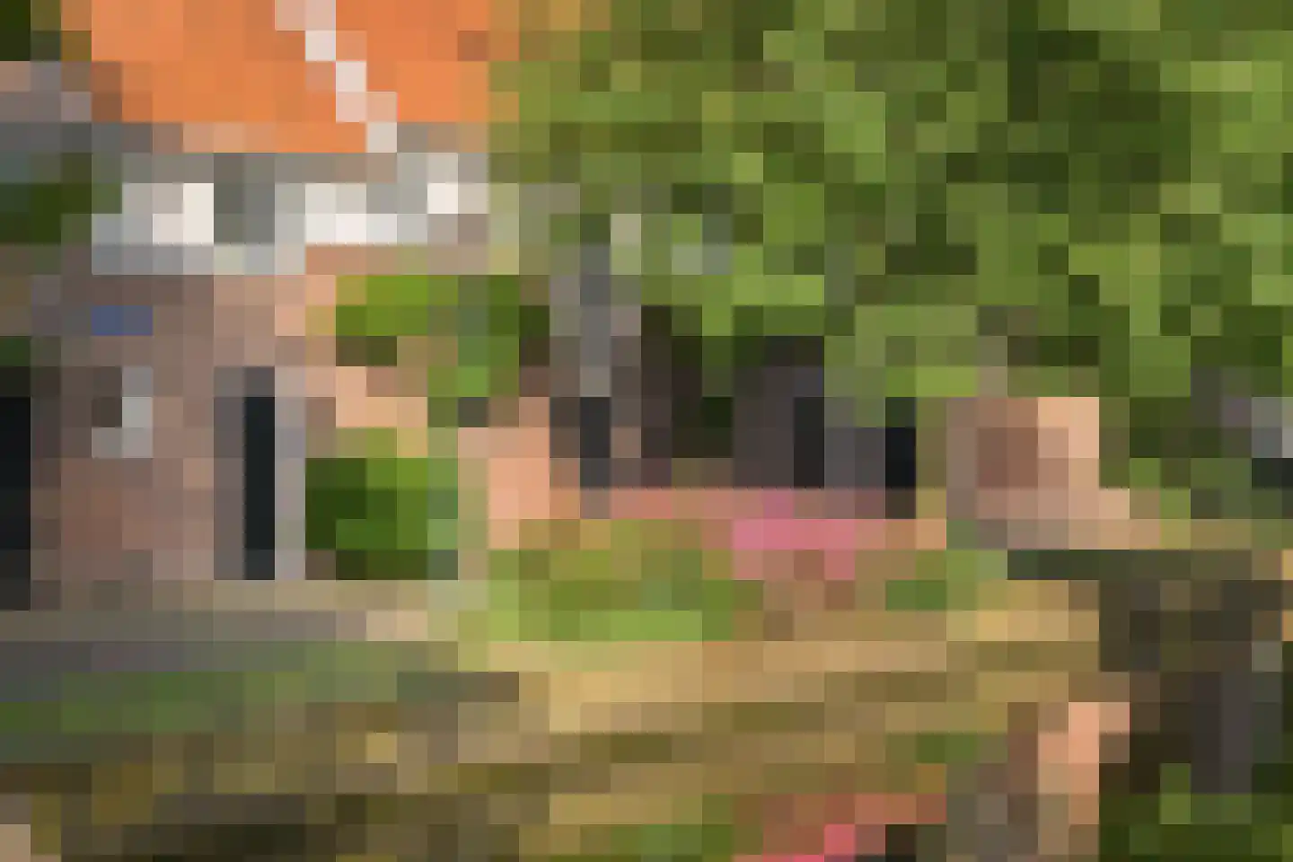 Weeshuistuin 7 Hoorn thumbnail 59
