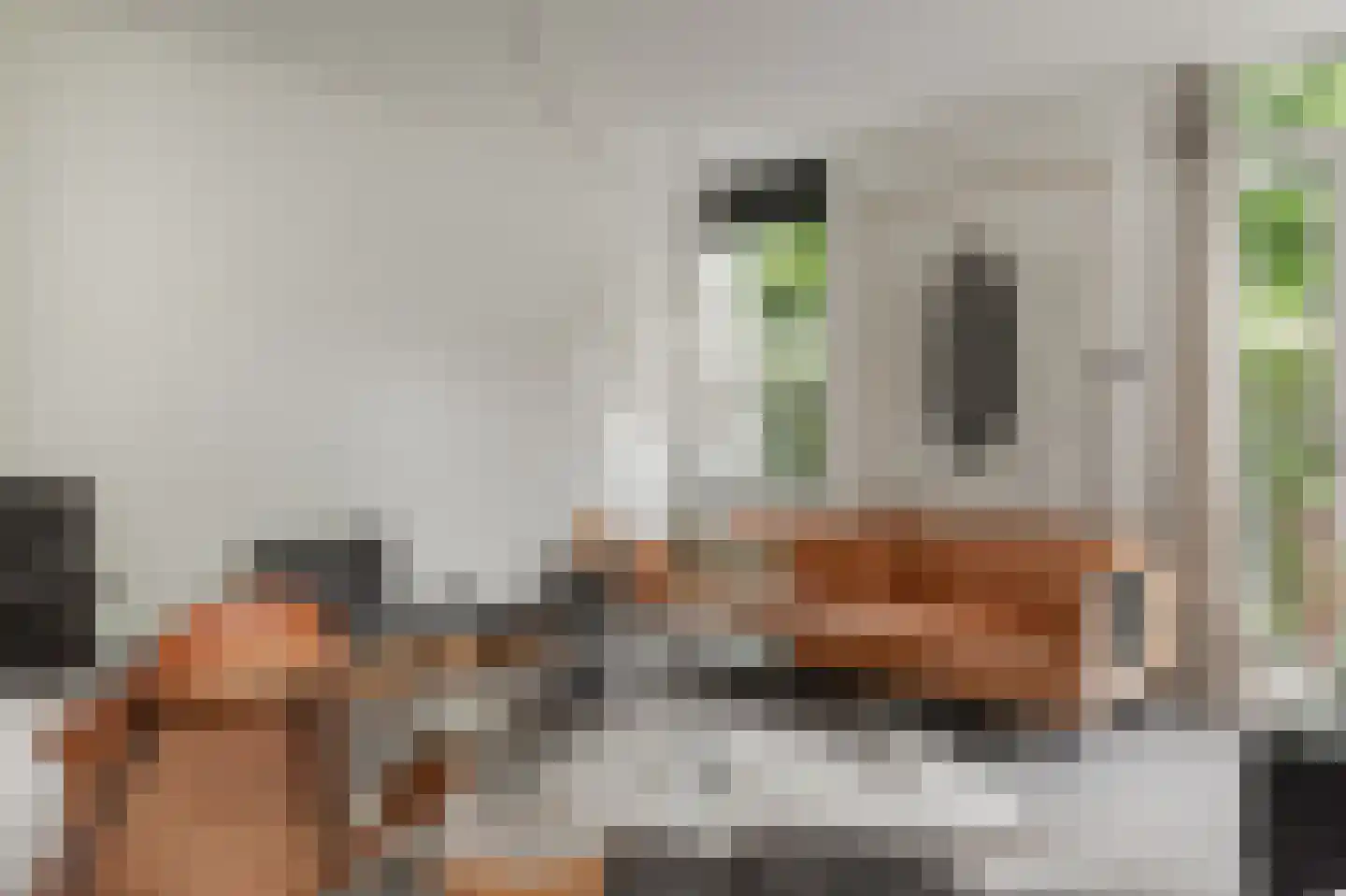 Weeshuistuin 7 Hoorn thumbnail 6