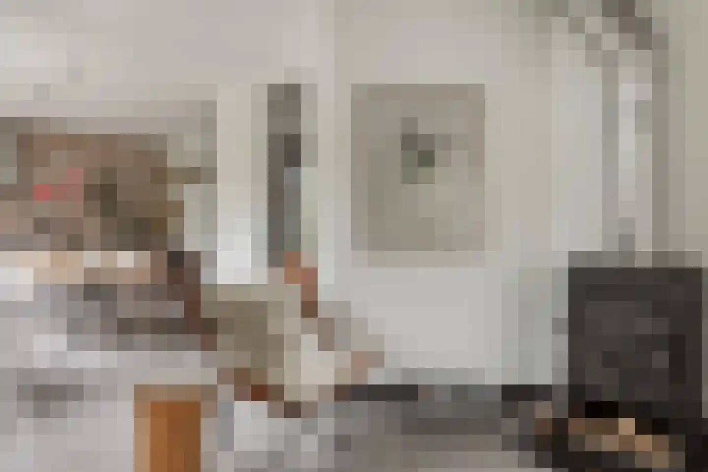 Weeshuistuin 7 Hoorn thumbnail 8
