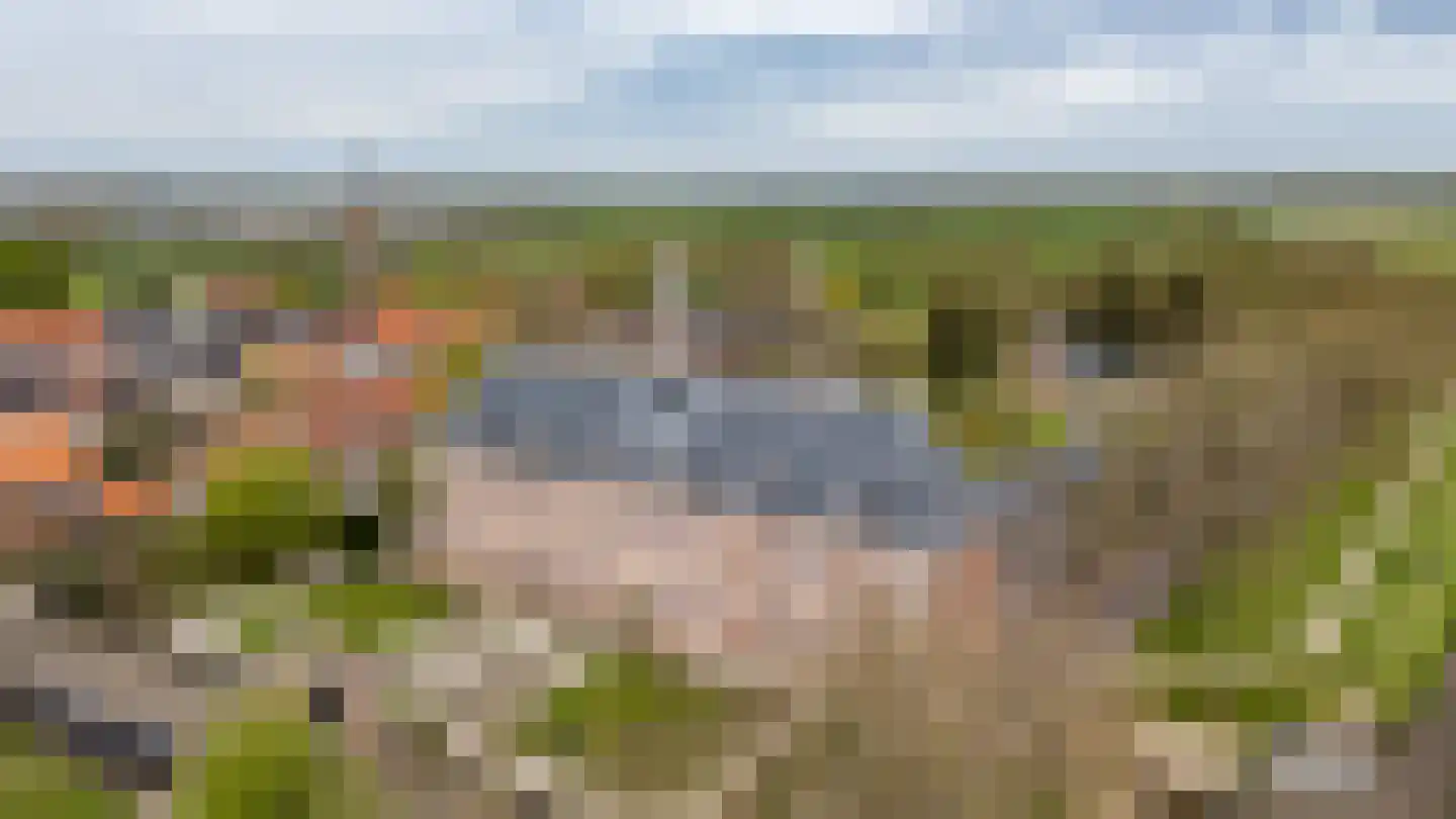 Weeshuiswal 7 Buren thumbnail 10