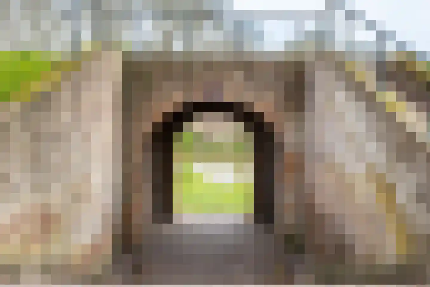 Weeshuiswal 7 Buren thumbnail 12
