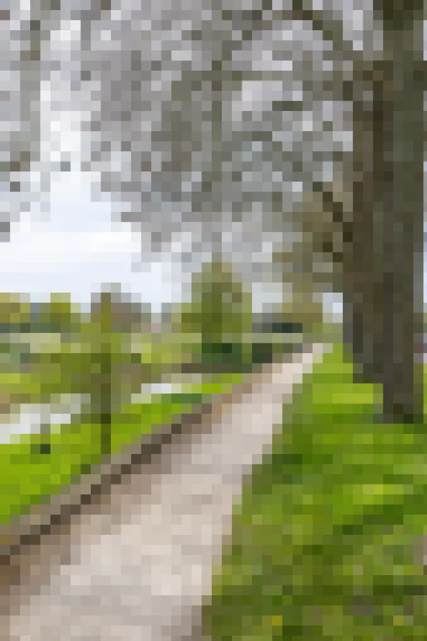 Weeshuiswal 7 Buren thumbnail 13