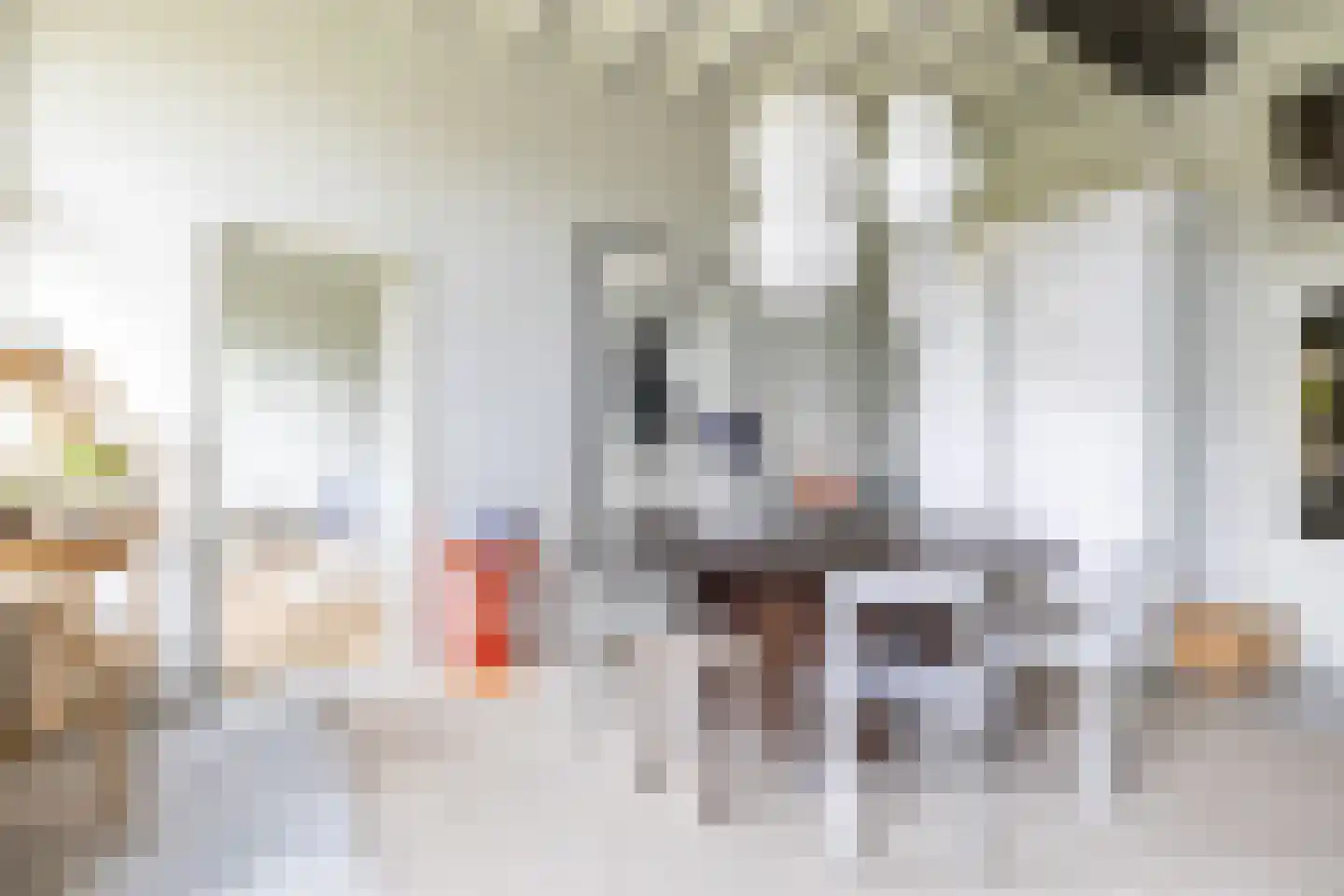 Weeshuiswal 7 Buren thumbnail 23