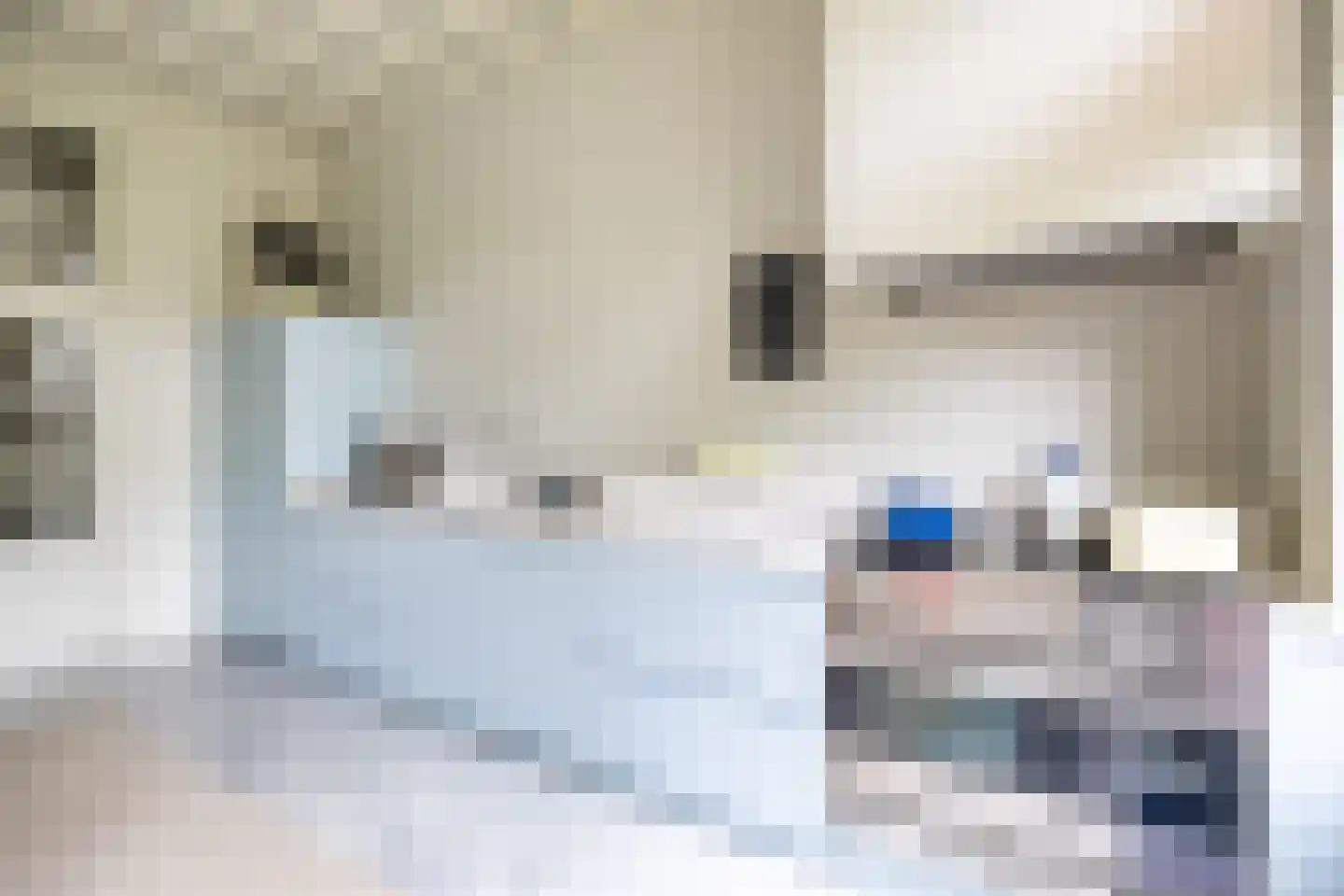 Weeshuiswal 7 Buren thumbnail 24